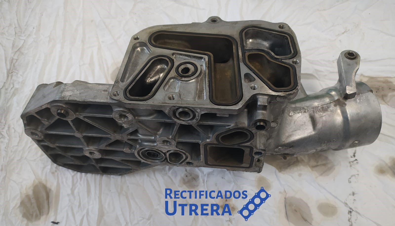 SOPORTE FILTRO Y ENFRIADOR SSANGYONG REXTON W XDI D20R/D20F